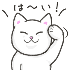 [LINEスタンプ] 気持ちが伝わるネコちゃんスタンプ