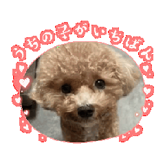 [LINEスタンプ] さらさらさらさらぁ