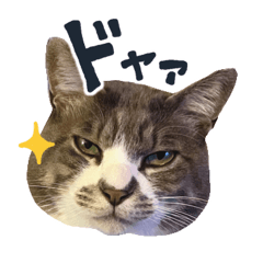 [LINEスタンプ] やんごとなきマロのスタンプ【修正版】