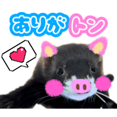 [LINEスタンプ] ふぇれももん村／ふぇれず動物に変身