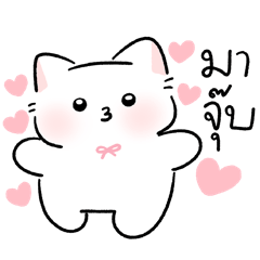 [LINEスタンプ] Kuricat