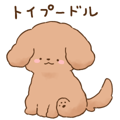 [LINEスタンプ] 【シンプル】ふわふわトイプードル