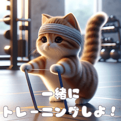 [LINEスタンプ] 筋トレ好きな猫の日常会話の画像（メイン）