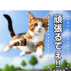 [LINEスタンプ] ジャンプする猫（リアル風）関西弁の画像（メイン）