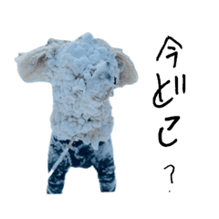 [LINEスタンプ] hair axis 看板犬ALO