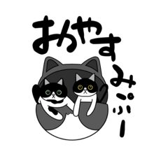 [LINEスタンプ] ニャンズたちのスタンプ