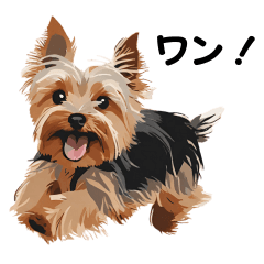 [LINEスタンプ] ヨークシャーテリアの毎日使えるスタンプ