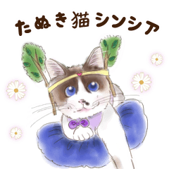 [LINEスタンプ] たぬき猫シンシア