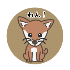 [LINEスタンプ] 柴犬みかんのカラフル日常スタンプ