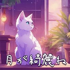 [LINEスタンプ] 乙女チックな猫様