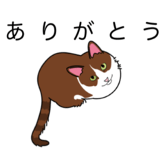 [LINEスタンプ] 【日常に使える】やさしい毎日のあいさつ