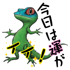 [LINEスタンプ] カラフルトカゲ