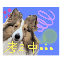 [LINEスタンプ] びすこってぃ⑥