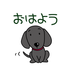 [LINEスタンプ] ウォルシュの毎日使える挨拶