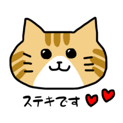 [LINEスタンプ] 茶トラのひげ