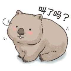 [LINEスタンプ] ずんぐり袋熊さん(中国語版)