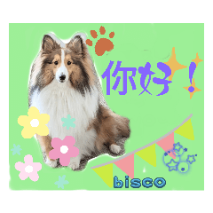 [LINEスタンプ] 喜乐蒂牧羊犬