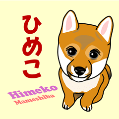 [LINEスタンプ] ひめこ まめしばの画像（メイン）