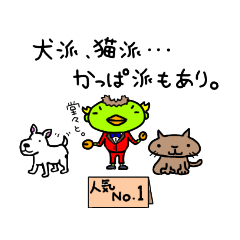 [LINEスタンプ] 日々のかっぱのつもり君