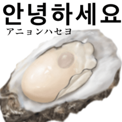 [LINEスタンプ] 牡蠣 です 韓国語