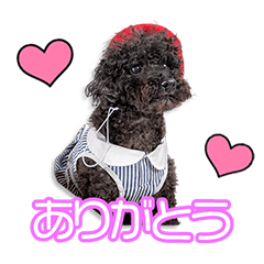 [LINEスタンプ] 藤原家のりりちゃん