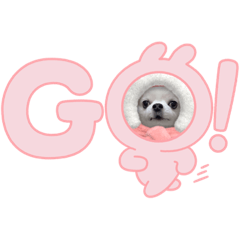 [LINEスタンプ] じるジル
