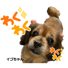[LINEスタンプ] ハッピー・わん