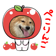 [LINEスタンプ] にじはるだいの画像（メイン）