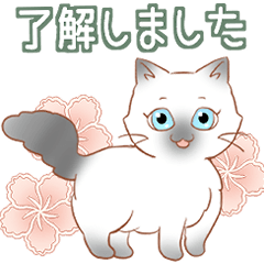 [LINEスタンプ] あいさつ長毛猫