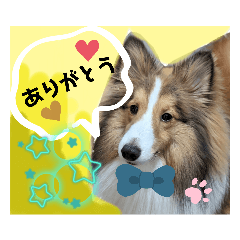 [LINEスタンプ] びすこってぃ⑦