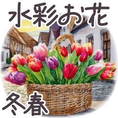 [LINEスタンプ] 冬春 敬語 水彩 イタリア✿大人上品お花の画像（メイン）