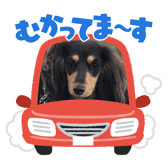 [LINEスタンプ] Ⓜ️ダックス