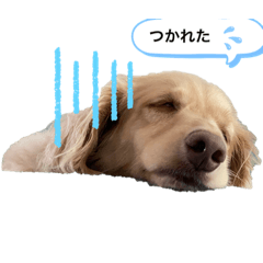 [LINEスタンプ] ターボ犬とハイネ犬