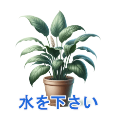 [LINEスタンプ] 観葉植物の気持ち