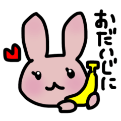 [LINEスタンプ] ゆるかわうさぎの使いやすいスタンプ