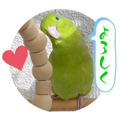 [LINEスタンプ] マメルリハ達15