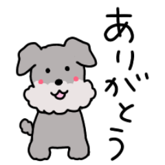 [LINEスタンプ] シュナウザーのスタンプ【日常用】