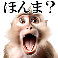 [LINEスタンプ] リアル猿★関西弁の画像（メイン）
