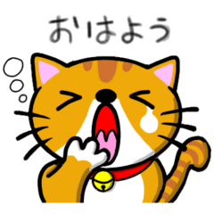 [LINEスタンプ] 猫のチヨちゃんのスタンプ