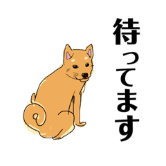 [LINEスタンプ] 柴犬のゆるいイラスト