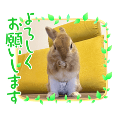 [LINEスタンプ] ルナルー2.