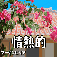 [LINEスタンプ] 沖縄の花大好き10。花の島沖縄行きたい。