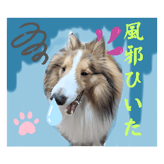 [LINEスタンプ] びすこってぃ⑧〜冬