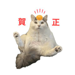 [LINEスタンプ] ひだまり☀️