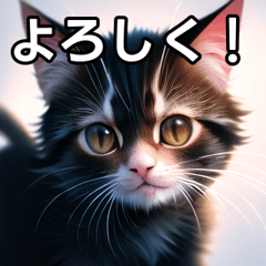 [LINEスタンプ] おしゃべり仔猫