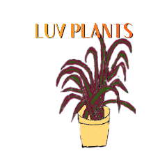 [LINEスタンプ] LUV PLANTS