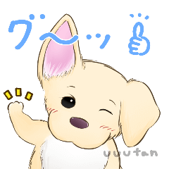 [LINEスタンプ] 動く！かわいいチワックススタンプ