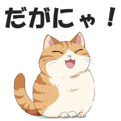 [LINEスタンプ] 名古屋弁の猫だがにゃ！【キャット・方言】