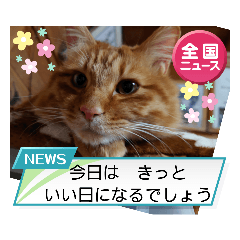 [LINEスタンプ] たわなつ7