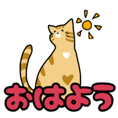 [LINEスタンプ] 愛らしいねこ